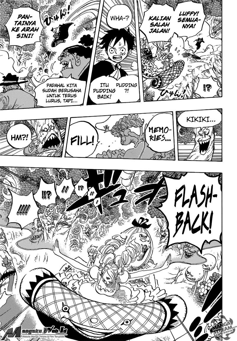 One Piece Chapter 876 page 13