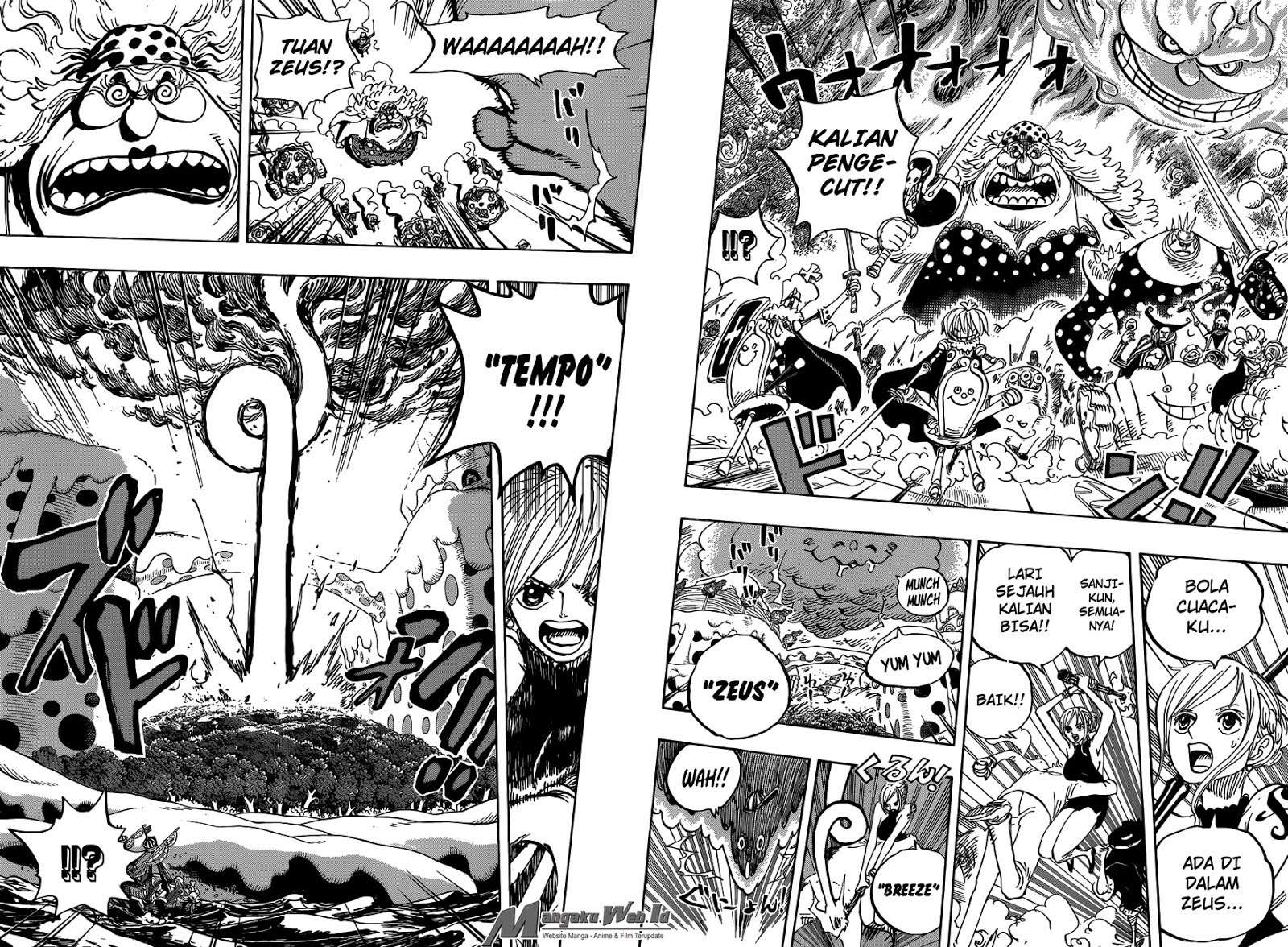 One Piece Chapter 875 page 13