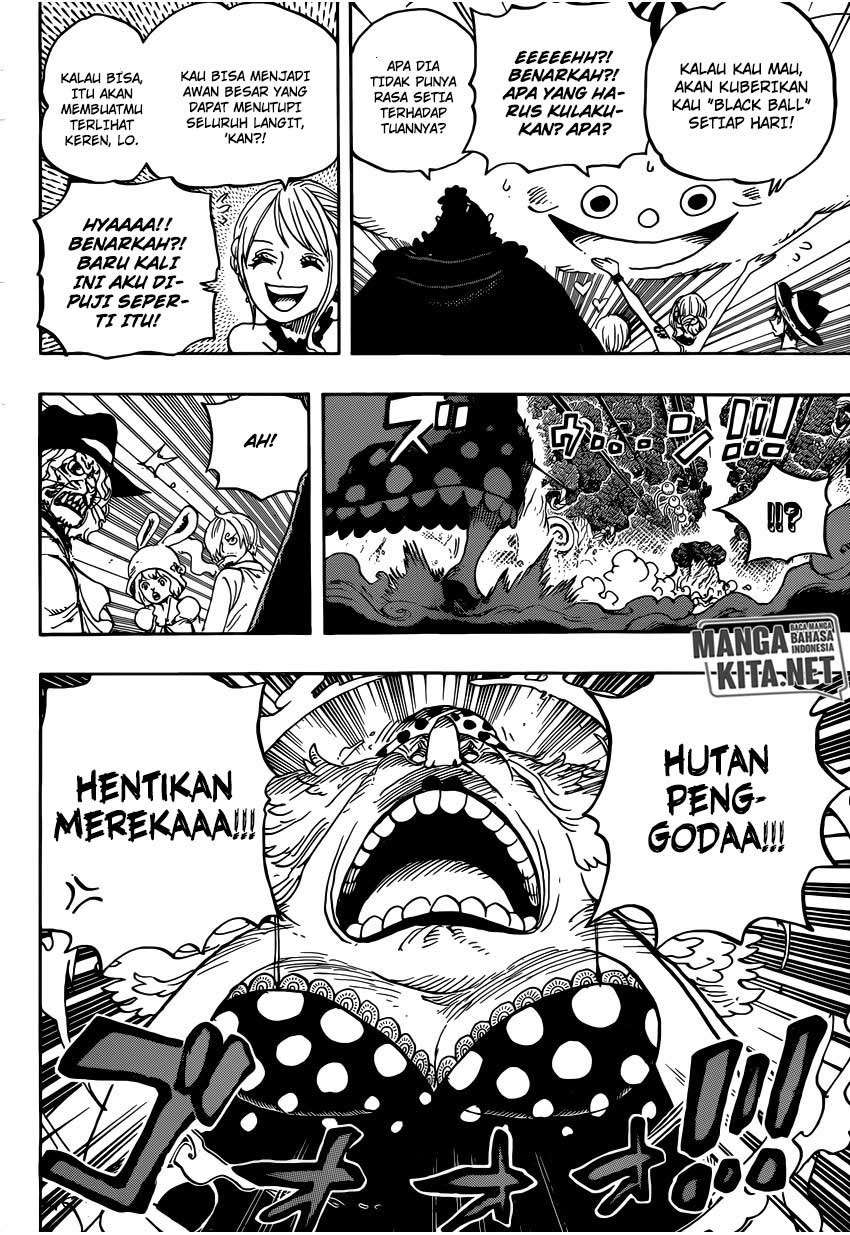 One Piece Chapter 874 page 14