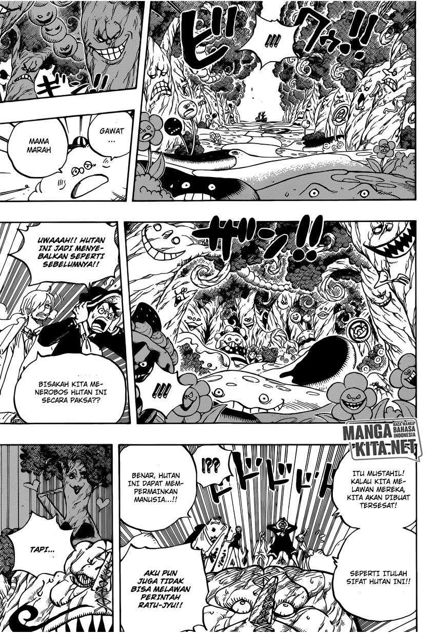 One Piece Chapter 874 page 15