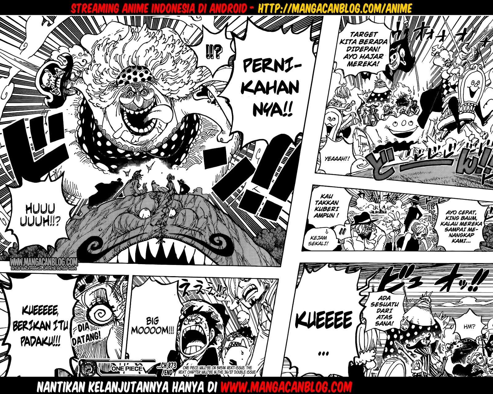 One Piece Chapter 873 page 17