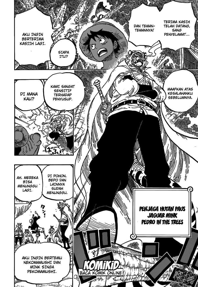 One Piece Chapter 814 page 13