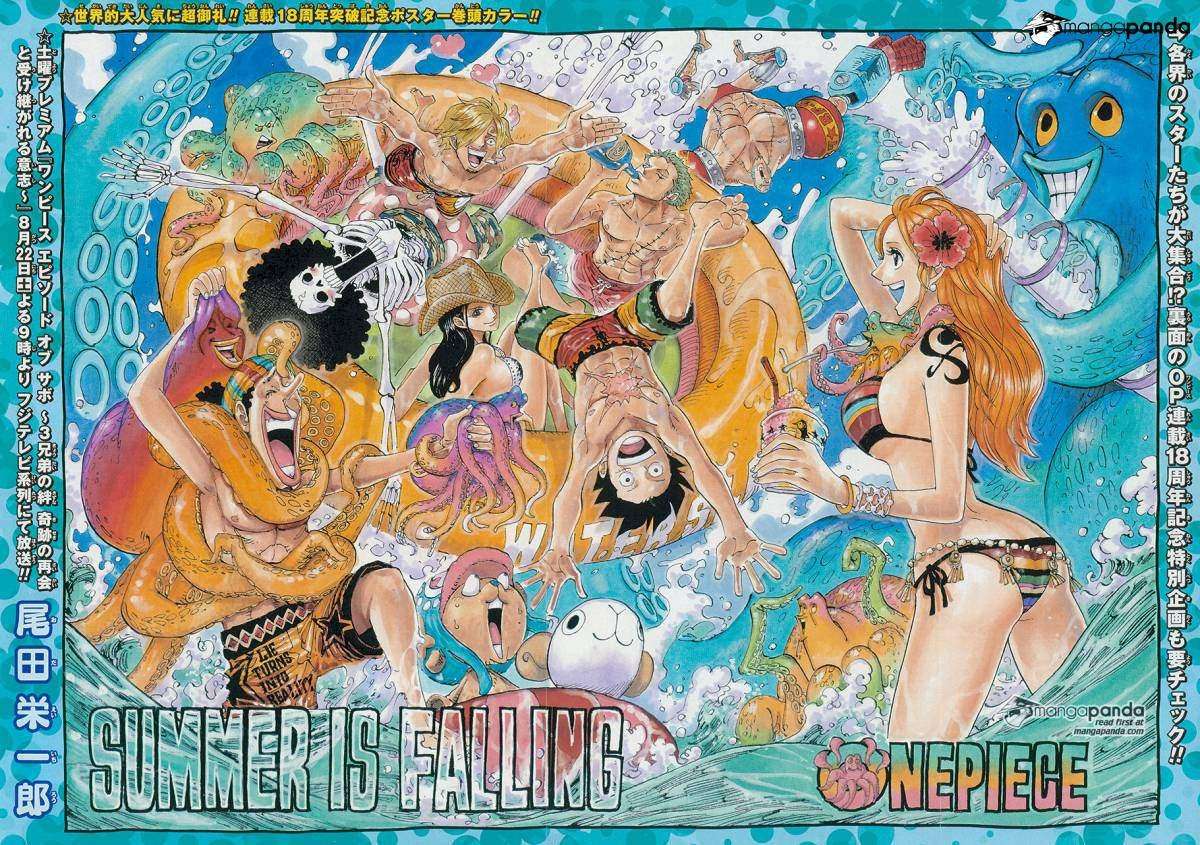 One Piece Chapter 796 page 3