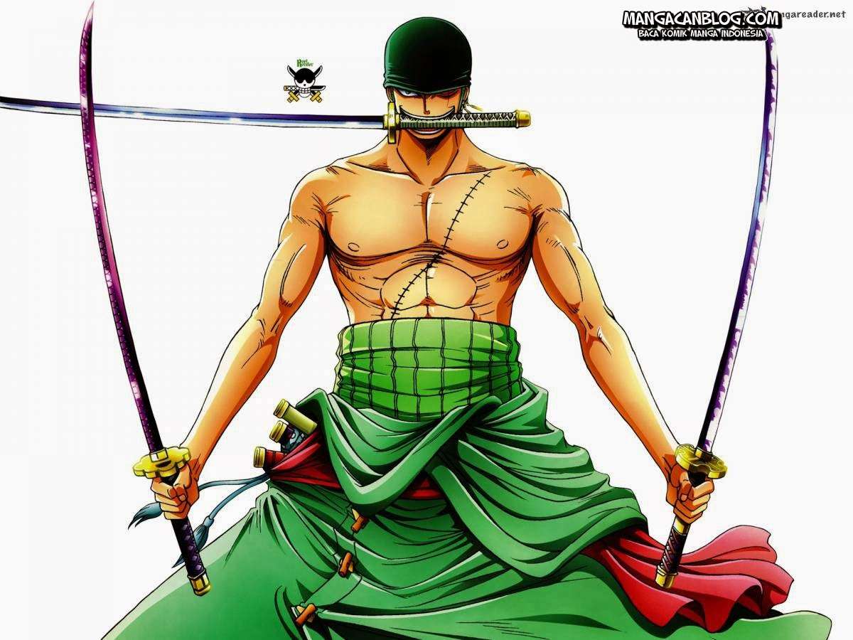 One Piece Chapter 743 page 3