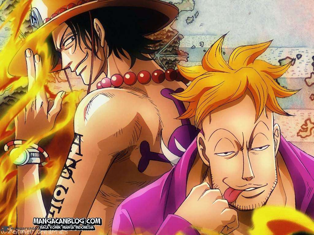 One Piece Chapter 742 page 3