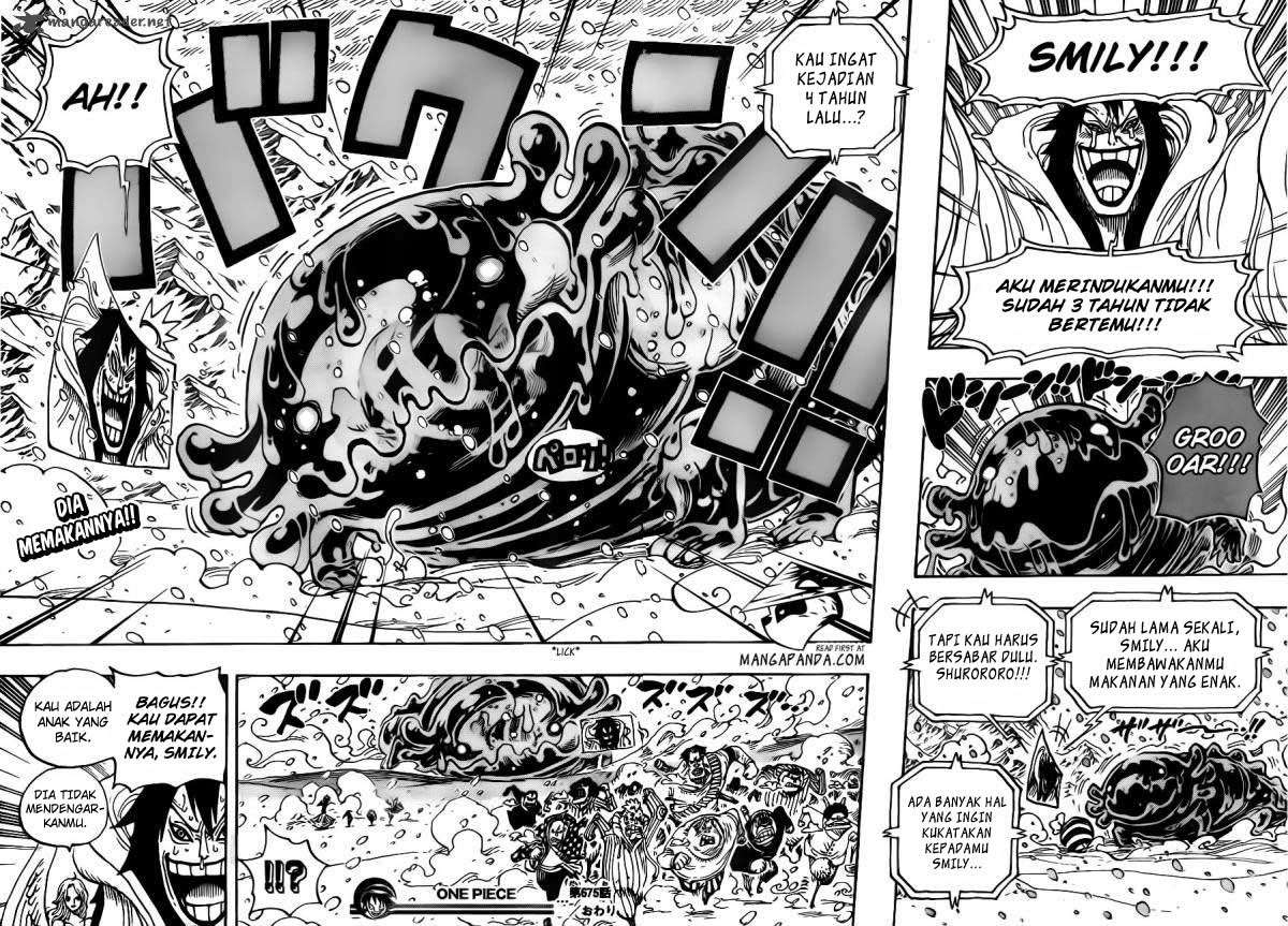One Piece Chapter 675 page 19