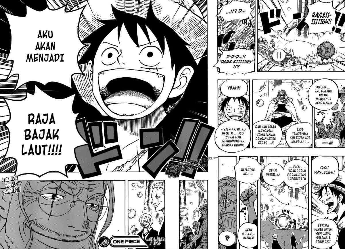 One Piece Chapter 601 page 15